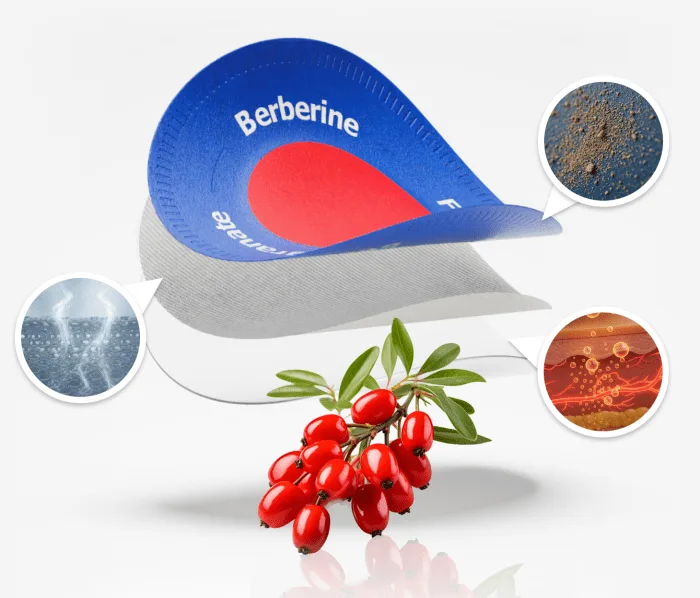 Purisaki Berberine Patch &mdash; 30-Day Daily Balance Program USA